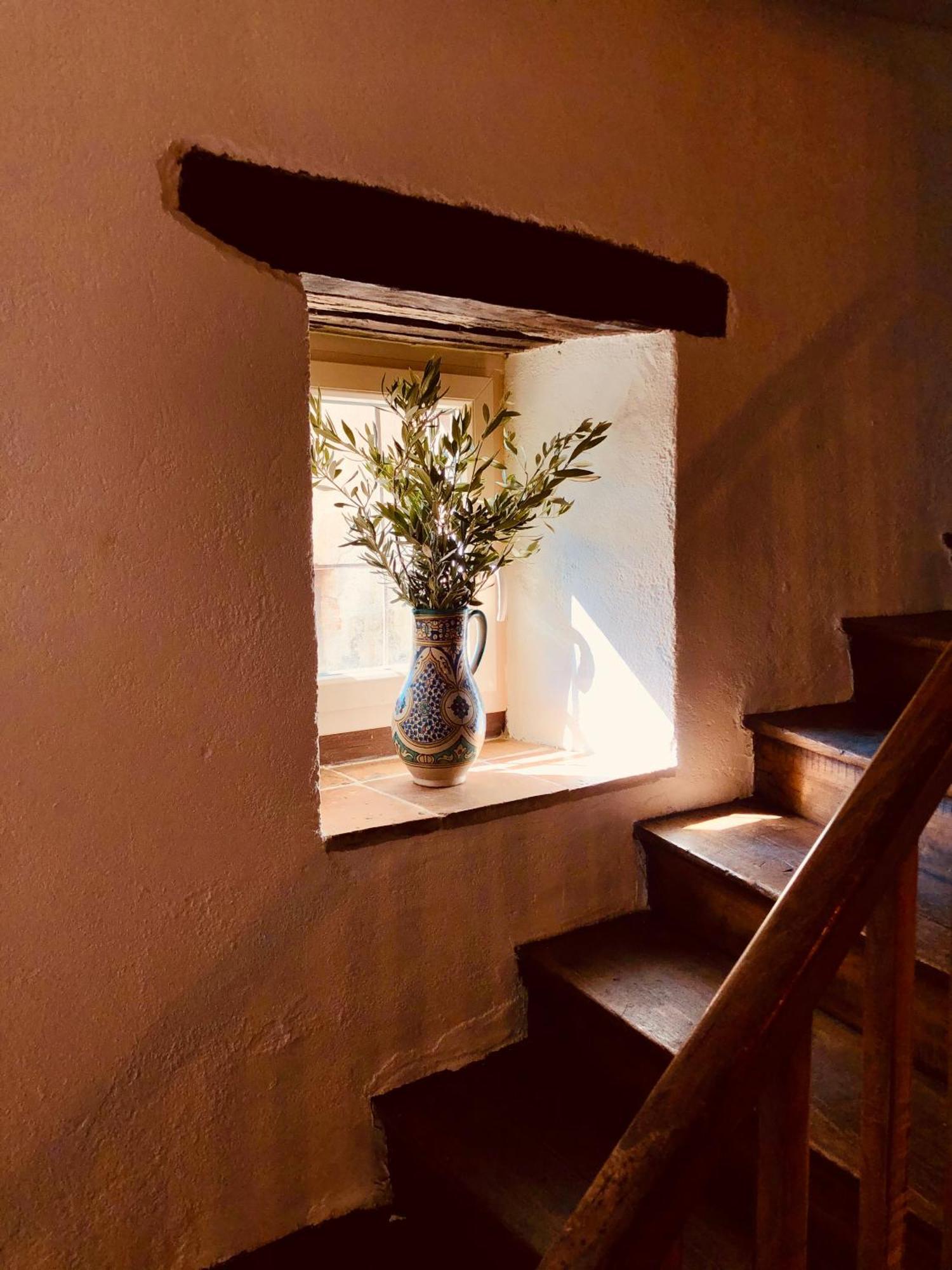 Maison De L'Aurausse Les Cabannes  Экстерьер фото